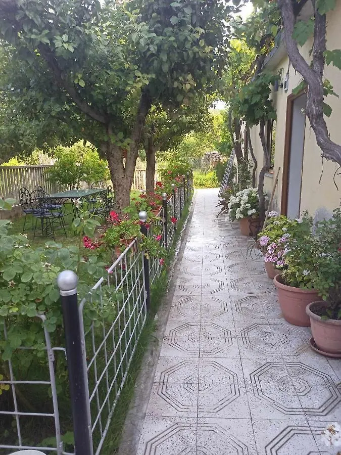 Kristina Mitllari 1 Hotel Tushemisht