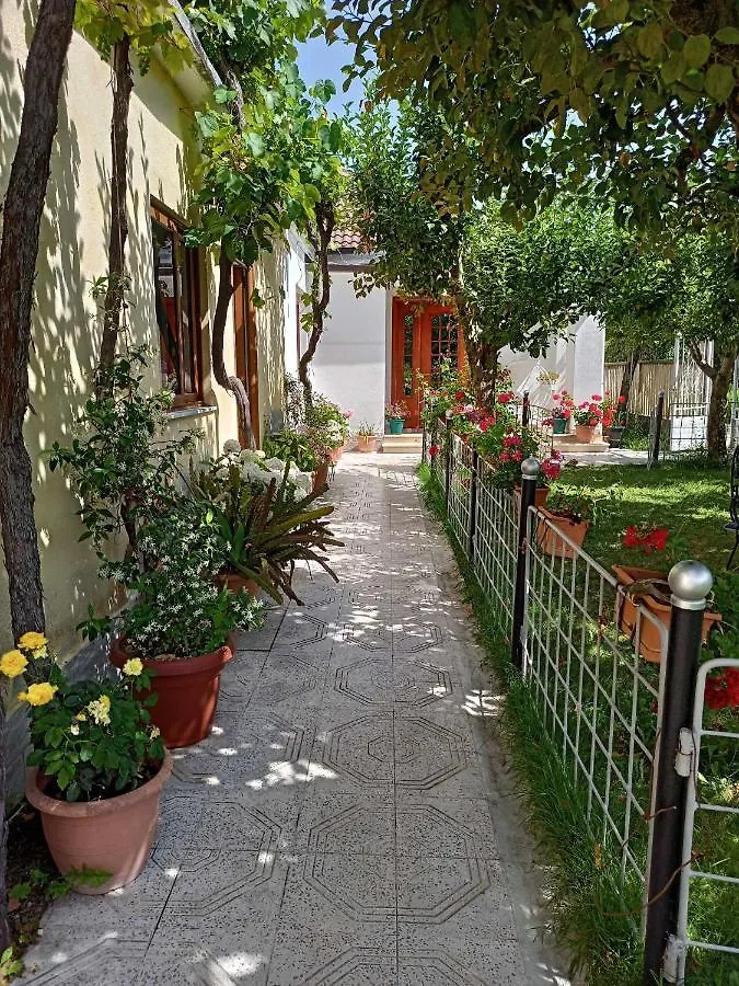 Kristina Mitllari 1 Hotel Tushemisht